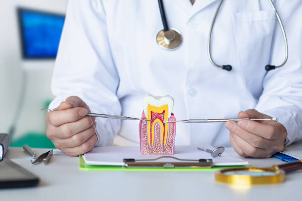 Best Emergency Dentist for Knocked-Out Tooth in Haskell, TX